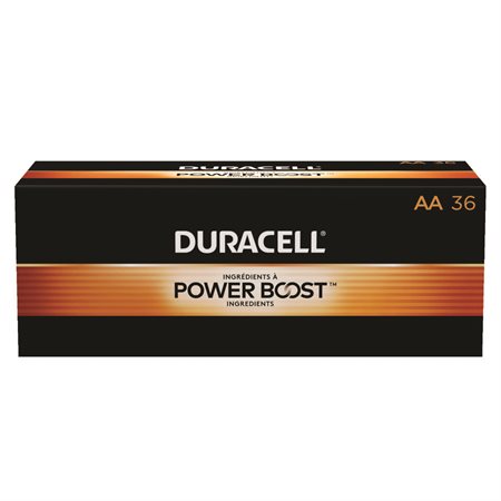 AA Coppertop Alkaline Batteries