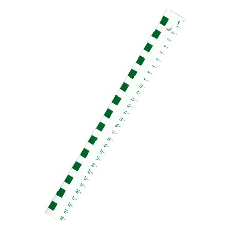 Junior Metric Ruler