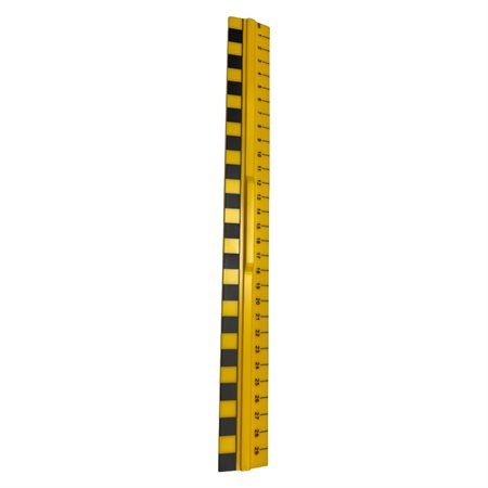 Primary Ruler