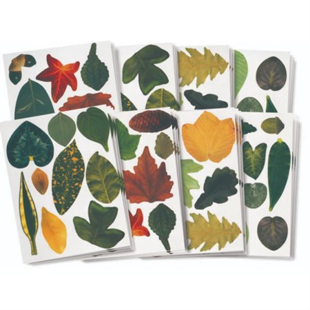 Papier imprimé - Feuilles fantaisie