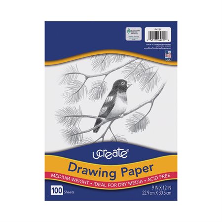 Cahier blanc à dessin de poids moyen