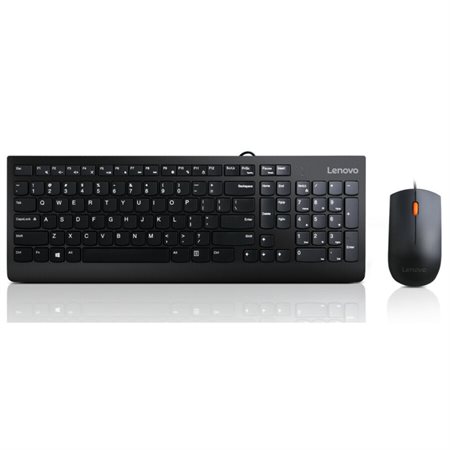 300 USB Combo Keyboard & Mouse