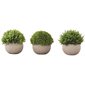 Plant d'herbe artificielle