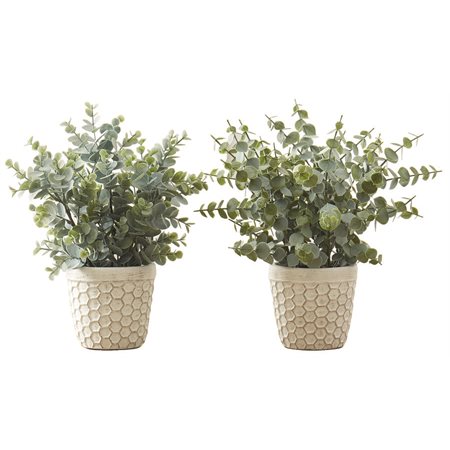 Artificial Eucalyptus in White Pot