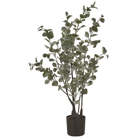 Artificial Eucalyptus in Black Pot