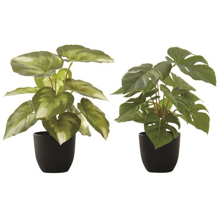 Artificial Plant - Monstera / Calathea