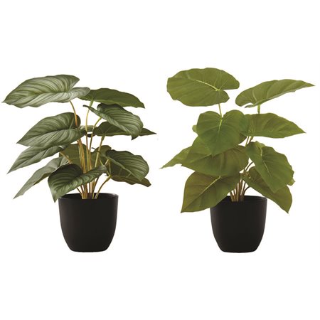 Artificial Plant - Epipremnum