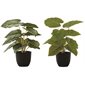 Plante d'epipremnum artificielle