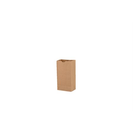 Kraft Paper Bag