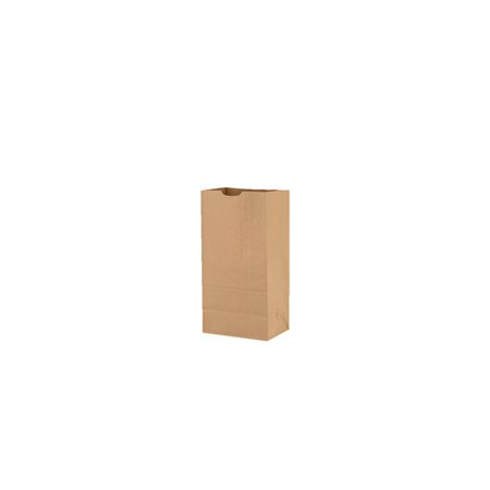 Kraft Paper Bag