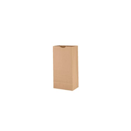 Kraft Paper Bag