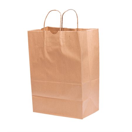 Twisted Paper Handle Bags