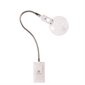 LED Desk Lamp Curves