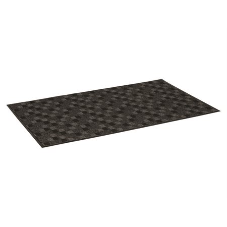 ENTR.MAT TERRA NOVA 4X6'CHARC