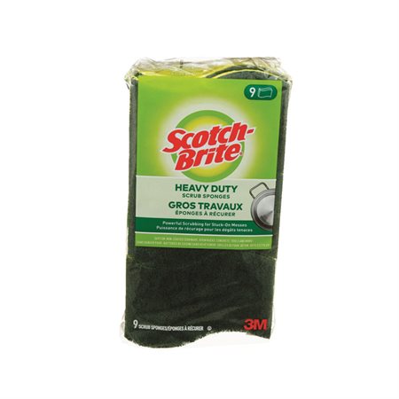 Éponges à récurer