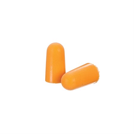 Foam Earplugs
