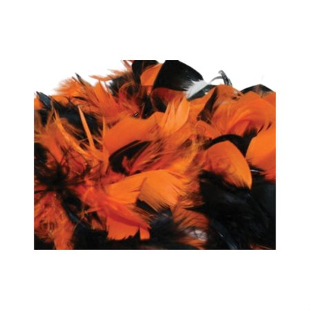 Assortiment de plumes pour Halloween