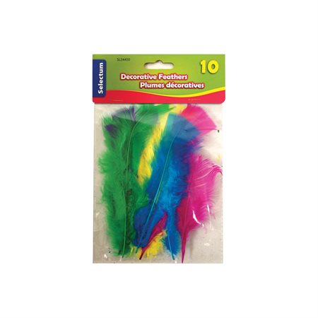 Decorative Feathers Small