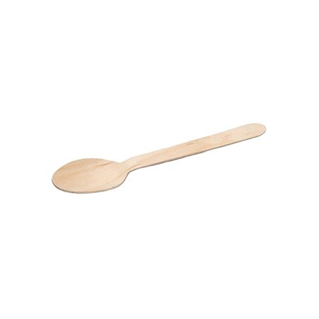 Compostable Spoon