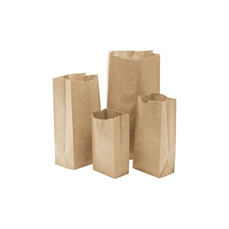 Paper Bags