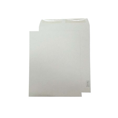 Catalogue Envelopes Natural Kraft