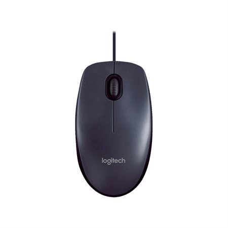 B100 Optical Mouse Medium