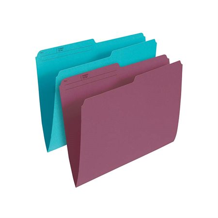 Coloured Reversible File Folders Letter