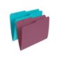 Coloured Reversible File Folders Letter