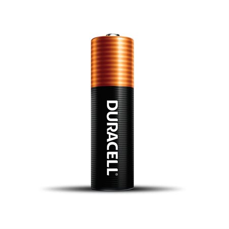 CopperTop® Power Boost™ Batteries "AA"