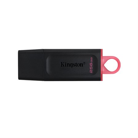 FLASH DRIVE 256GB 3 2 BLK