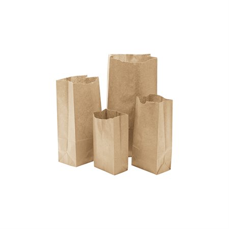 Paper Bags