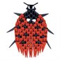 CREAGAMI COCCINELLE 100MCX