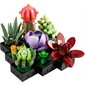 LEGO Collection botanique - Les succulentes
