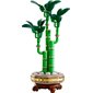 LEGO Botanical Collection - Lucky Bamboo