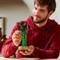 LEGO Botanical Collection - Lucky Bamboo