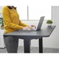 Bureau de gaming Royal Mossa 120 Cougar - Noir