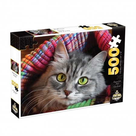 C-T. 500MCX REGARD DE CHAT