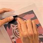 Atelier Grands Augustins, Atelier 64 : Canevas - Fauve