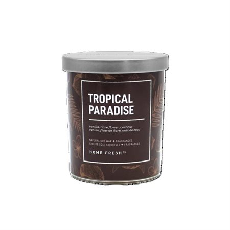 Single Wick Home Fresh Candle - Tropical Paradise