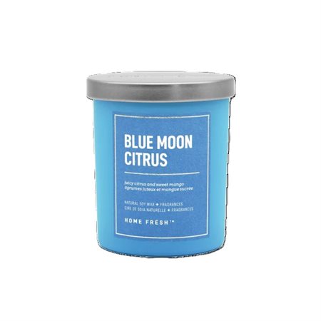 Single Wick Home Fresh Candle - Blue Moon Citrus