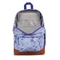 BACKPAS JANSPORT COOL ST. LINES & VINES
