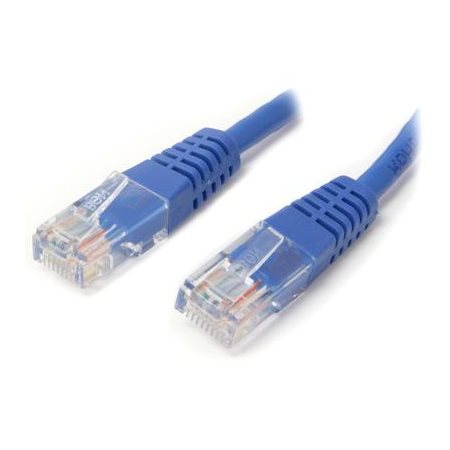 CABLE RESEAU STARTECH 100 PIEDS BLEU