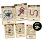 KidzLabs - Kit de Fouille Creepy Crawly