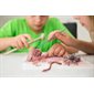 KidzLabs - Kit de Fouille Creepy Crawly