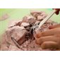 KidzLabs - Kit de Fouille Creepy Crawly