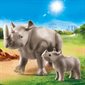 RHINOCEROS ET SON PETIT