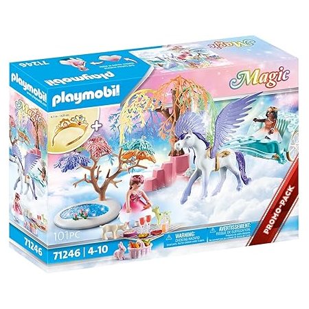 RAINBOW CASTLE CALECHE ET CHEVAL AILE