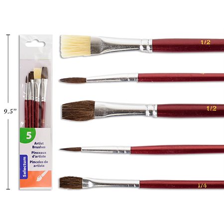 Pinceaux d'artiste - Ensemble de 5 pinceaux assorties