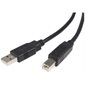 CABLE USB 2.0  (15')