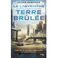 L'épreuve #2 La terre brulée